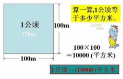 一公頃等于多少平方米及一畝等于多少平方米？面積單位換算