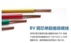 bv電線是什么意思？bv電線圖片和結構及bv電線的顏色及使用規