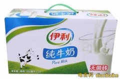 伊利純牛奶多少錢一箱？伊利純牛奶價格表及喝伊利純牛奶好