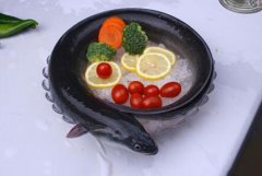 鰻鱺多少錢一斤？野生鰻魚價格多少及養鰻魚賺錢嗎？