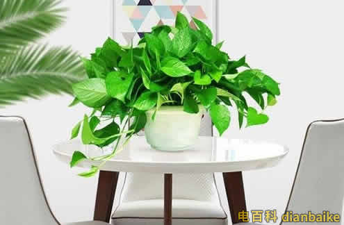 新房裝修后多久可以入??？新房裝修好后采取的除甲醛措施