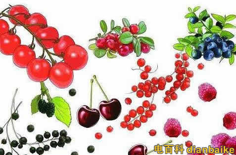 花青素能去斑嗎?花青素的功效與作用和禁忌及花青素含量高的食物