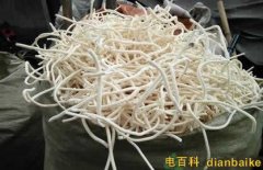 通草怎么吃下奶快？通草圖片和副作用及通草的功效與作用禁
