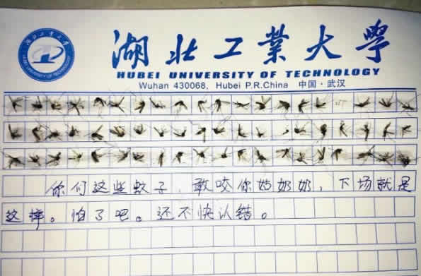60只蚊子寫作文是怎么回事？60只蚊子寫作文來龍去脈（組圖）
