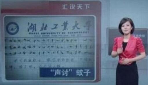 60只蚊子寫作文是怎么回事？60只蚊子寫作文來龍去脈（組圖）