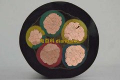 橡塑和橡套電纜那種在戶外用好一些？橡套電纜和橡塑電纜的