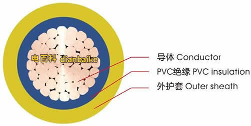bvv線結構