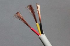 WDZN-RYJS是什么電纜線？RYJS電纜型號規格及特性應用