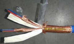 DJYPVP是什么電纜？DJYPVP電纜型號規格
