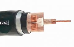 WDZYJFE型號的電纜是什么電纜？WDZYJFE型號含義和特性