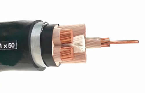 WDZYJFE型號電纜示意圖